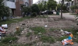 曹县小区吃瓜最新事件爆料,揭秘邻里纠纷背后的真相